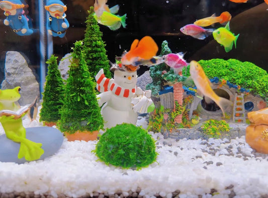 How to Create a Festive Christmas Fish Tank