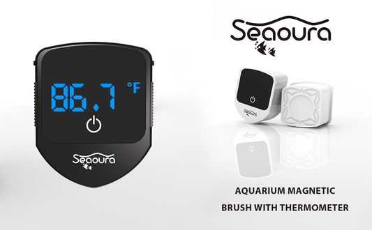 Convenient and Accurate Aquarium Management Tool: Magnetic Brush with Integrated Thermometer